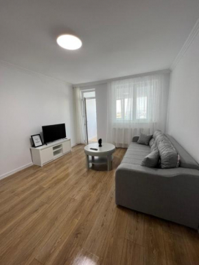 Sunny Apartment Center Suceava
